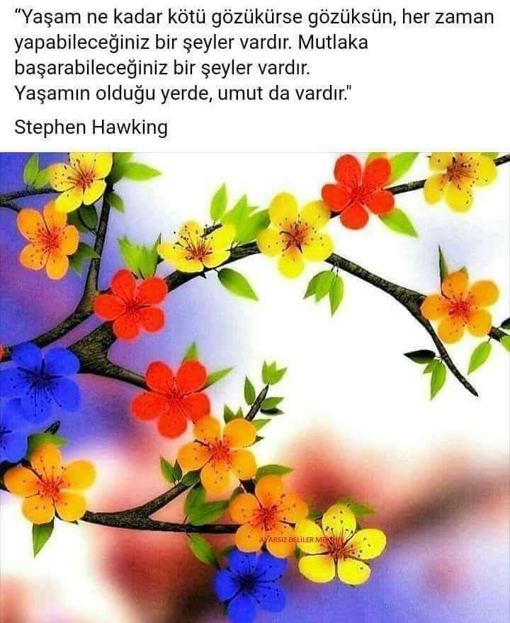 Der mi