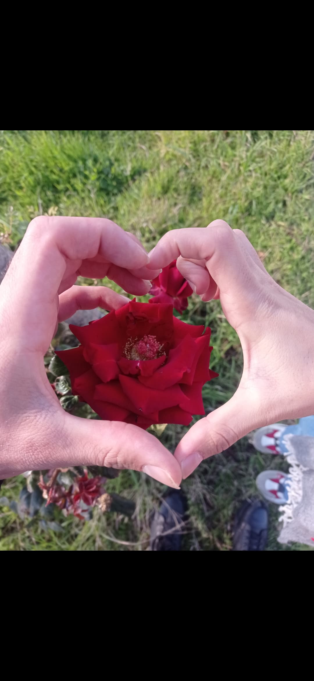Kolay mı ki Sessizce Unutabilmek