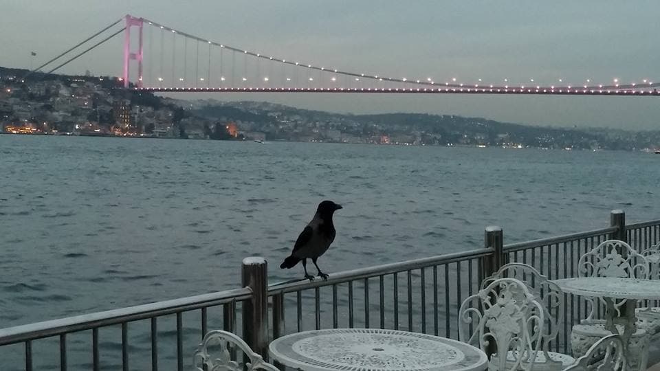 Katil Kabil'ler