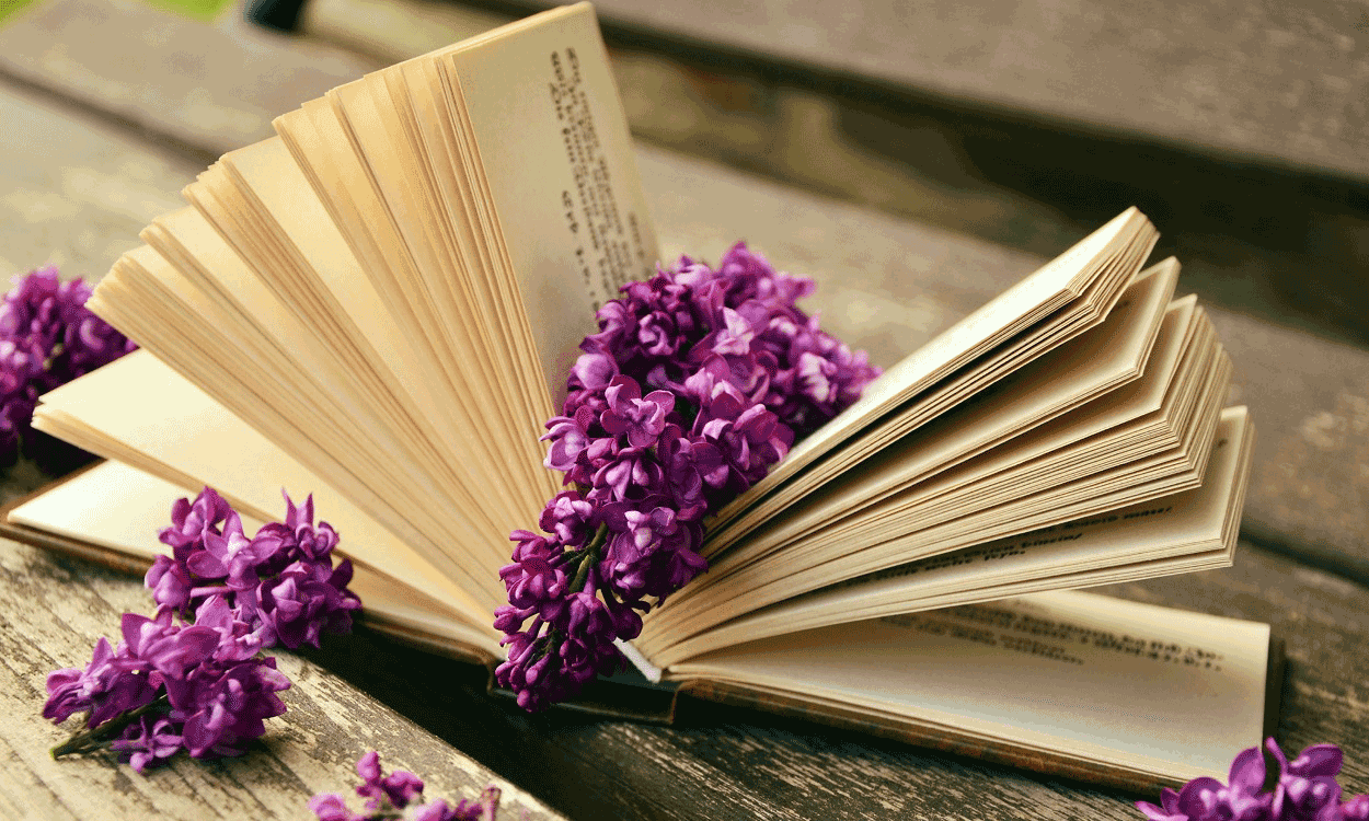 Kitap Aklı ve Bilinci
