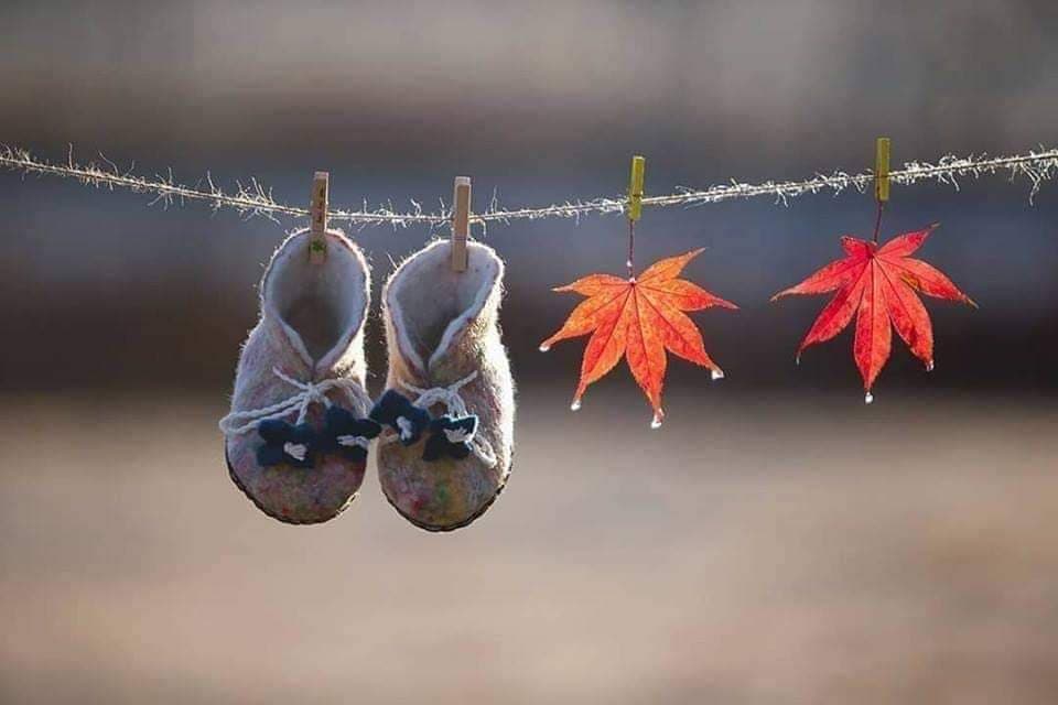 Her Canlı Aşık Olur Siz Hiç Aşk Oldunuz mu