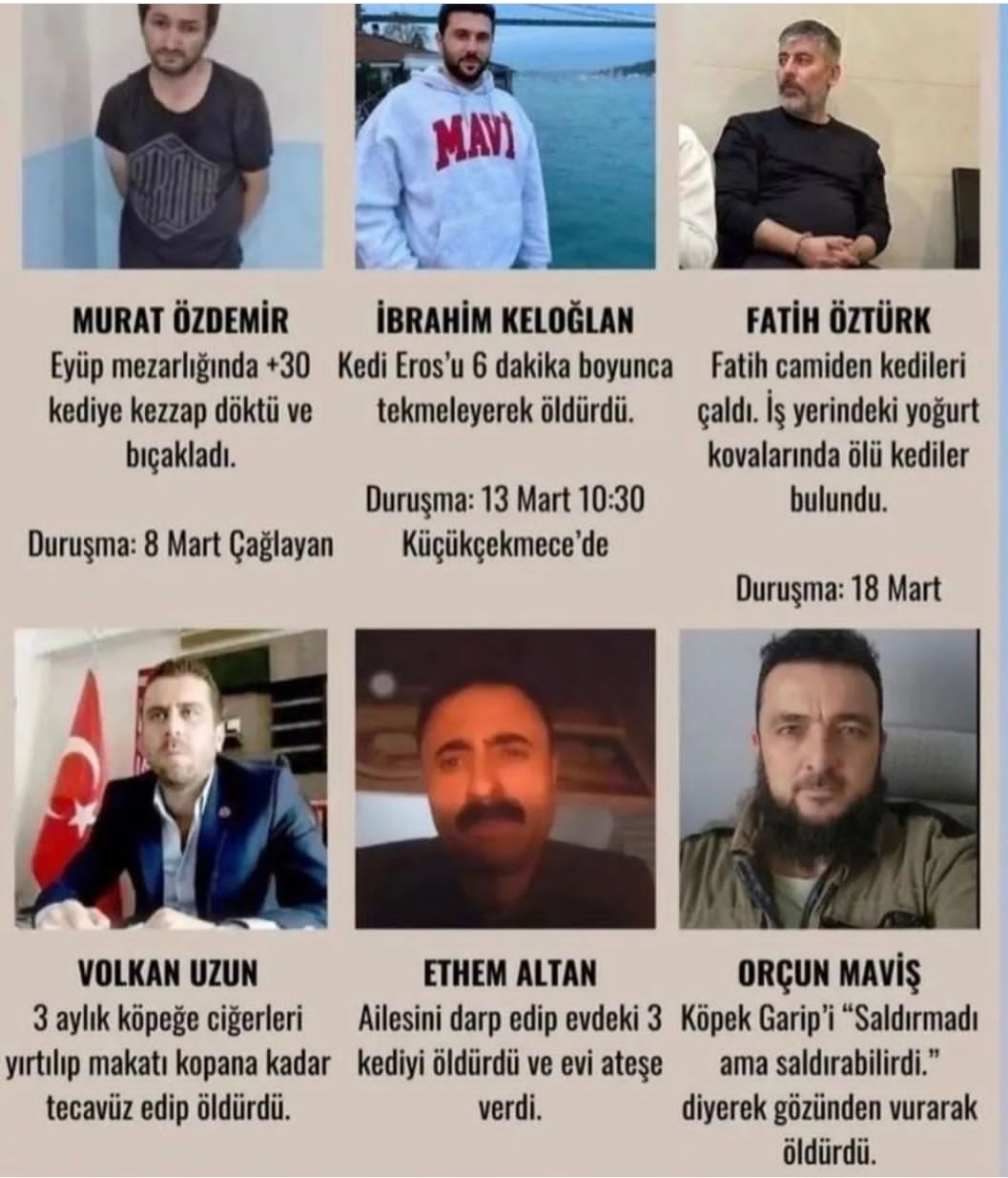 Kedi Köpek Hayvanlar ve İnsan
