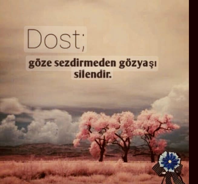 Hep Dostum Sandım
