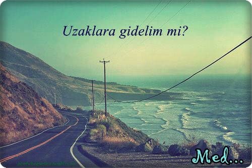 De Haydi