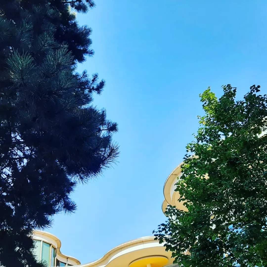Kahır Edilesi Göyalar