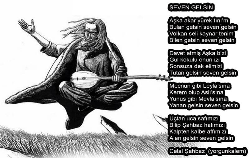 Seven Gelsin