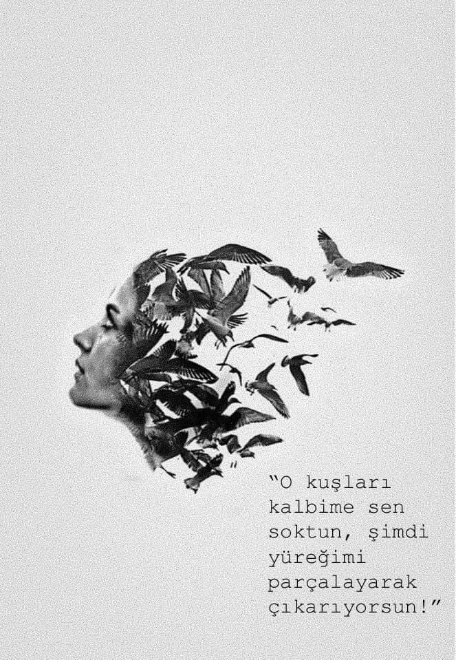Kabuğumda Bukalemun Yarası