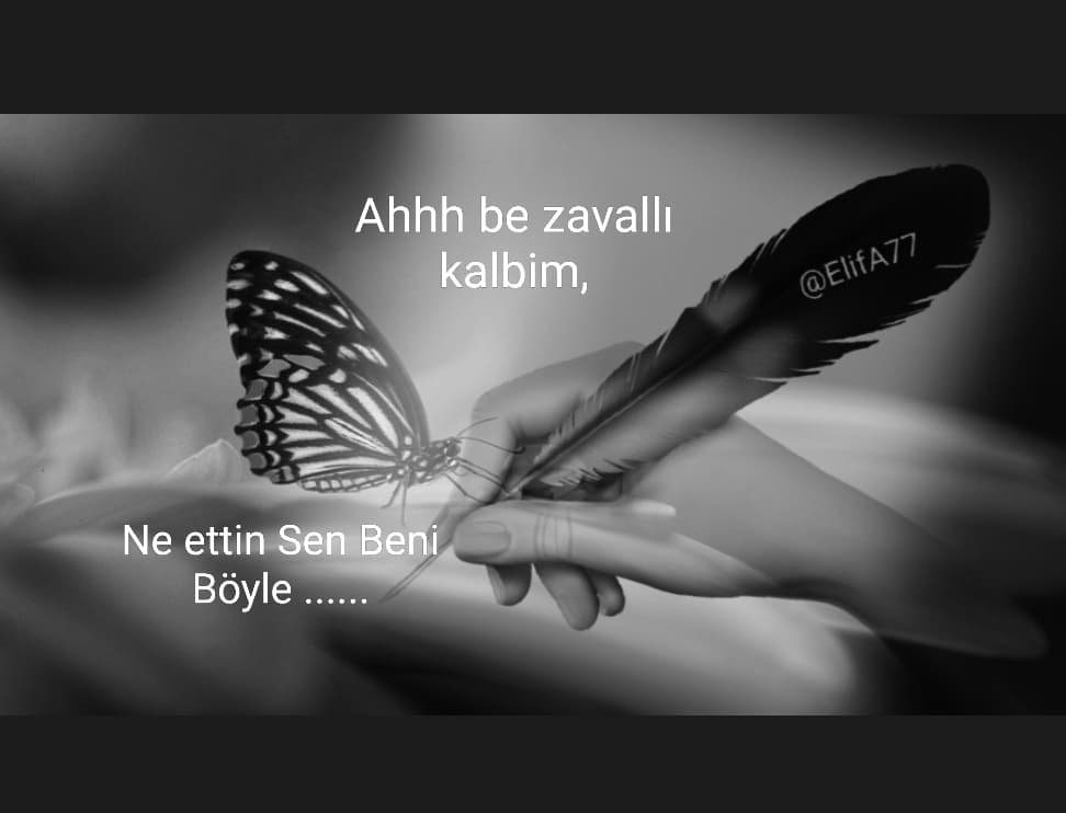 Ne Ettin Sen Beni Böyle