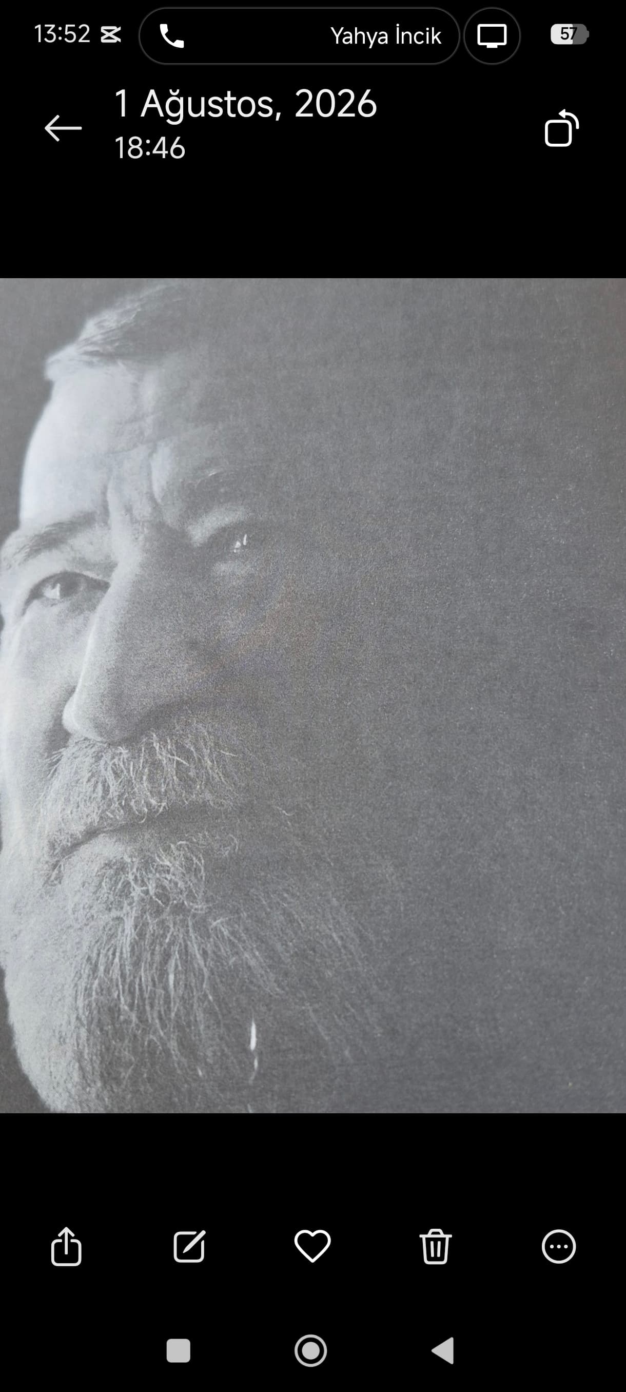 Ahmet Telli: Yeşil Mürekkep