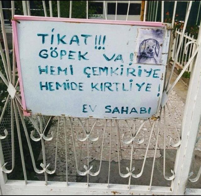 Köpeğin Sadakati