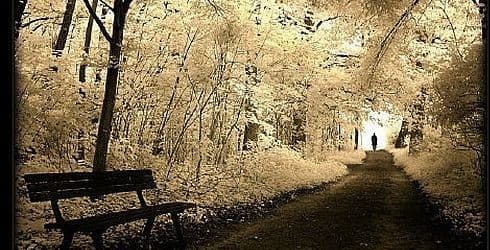 Bir Eylül Hengâmesi