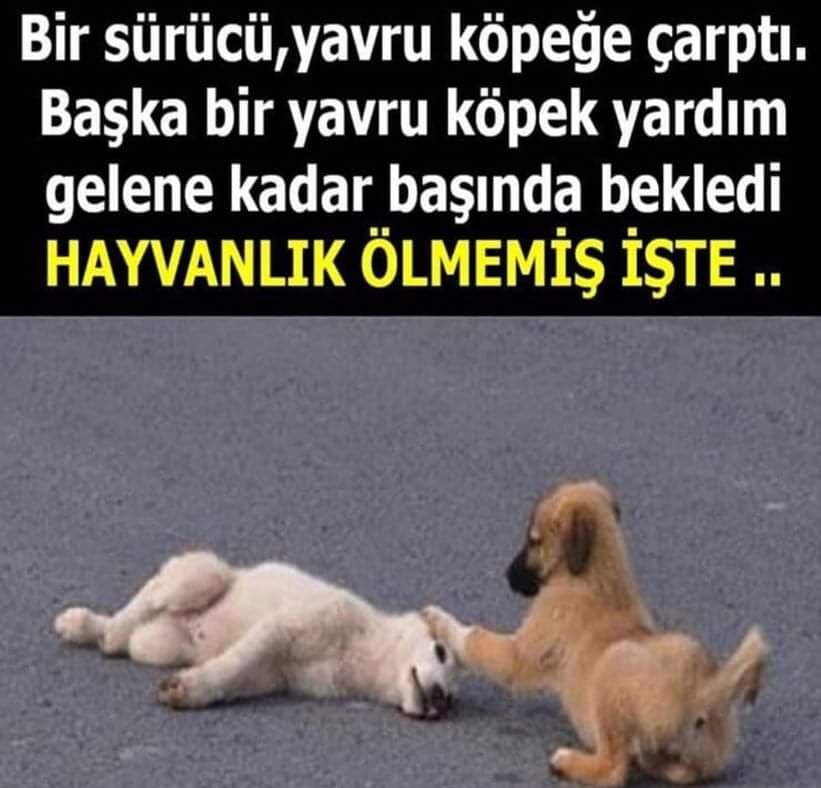 Söz Bittiği Yerde  İnsanlık Ölür