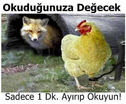 Adamın Gölgesi