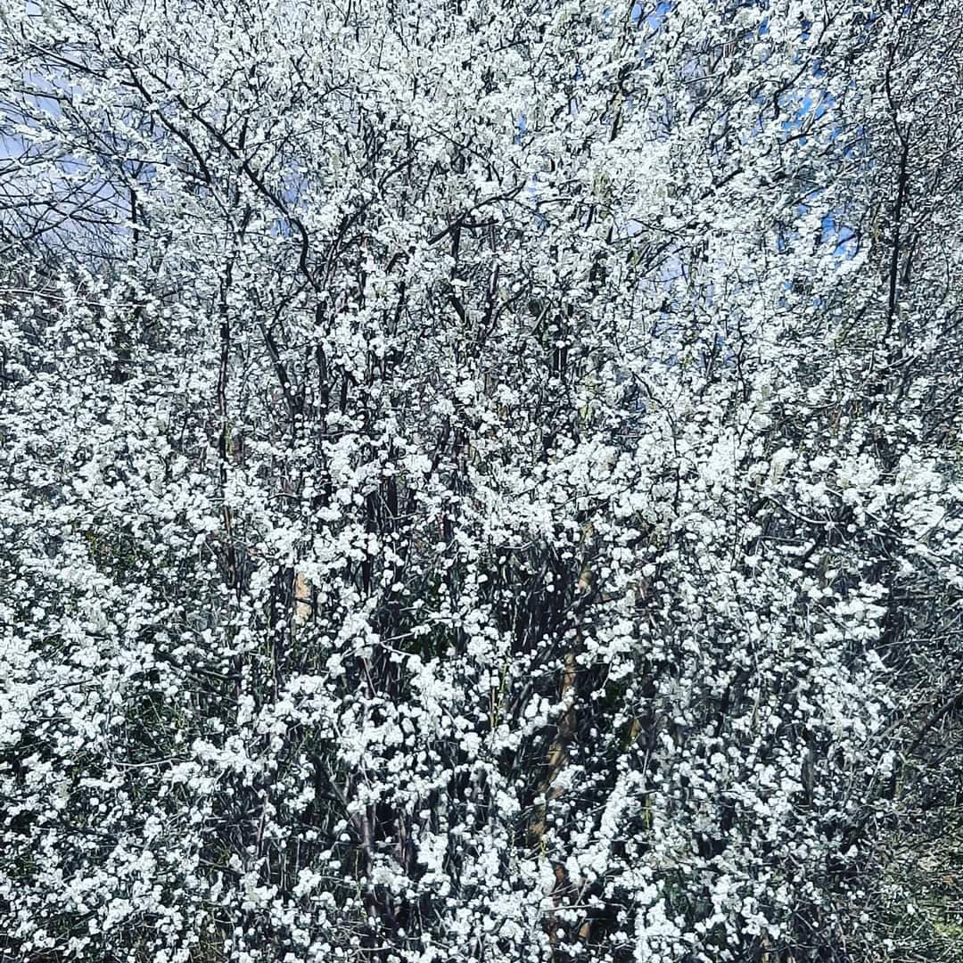 Kurtuluşun Yok