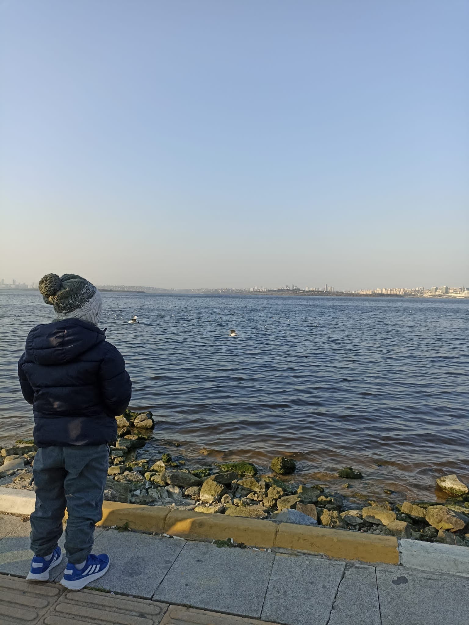 Hayatın Aras'ında