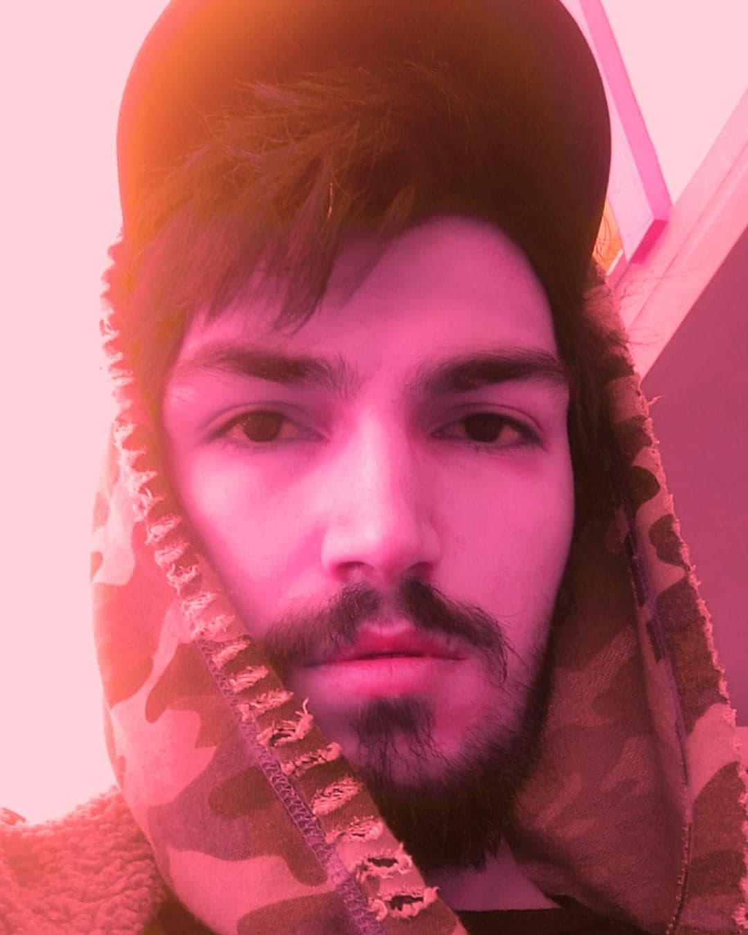 Alp Asilkan