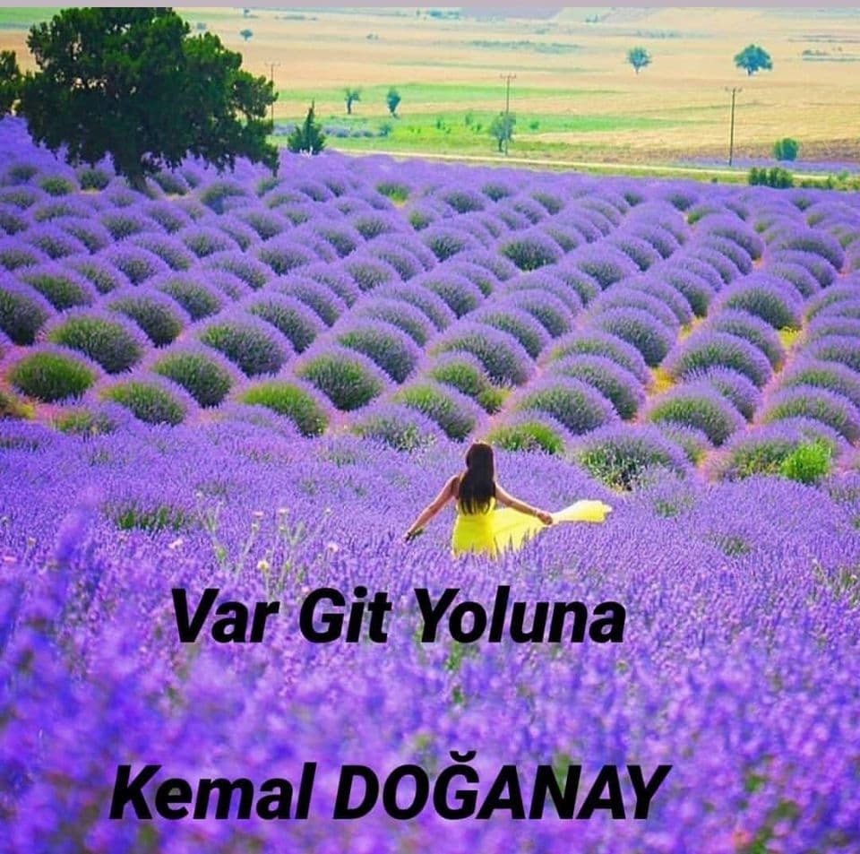 Var Git Yoluna