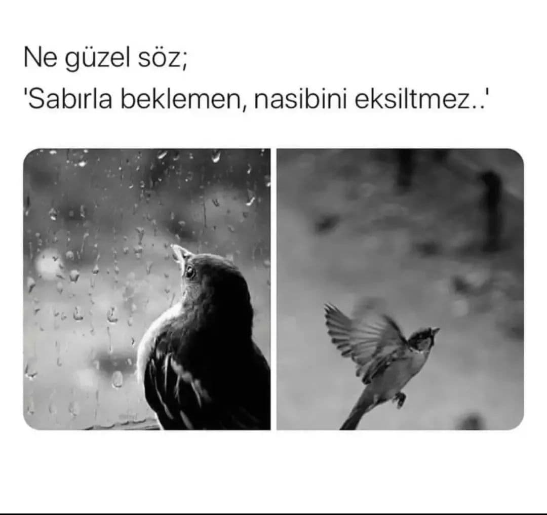 Ölümü Beklemek