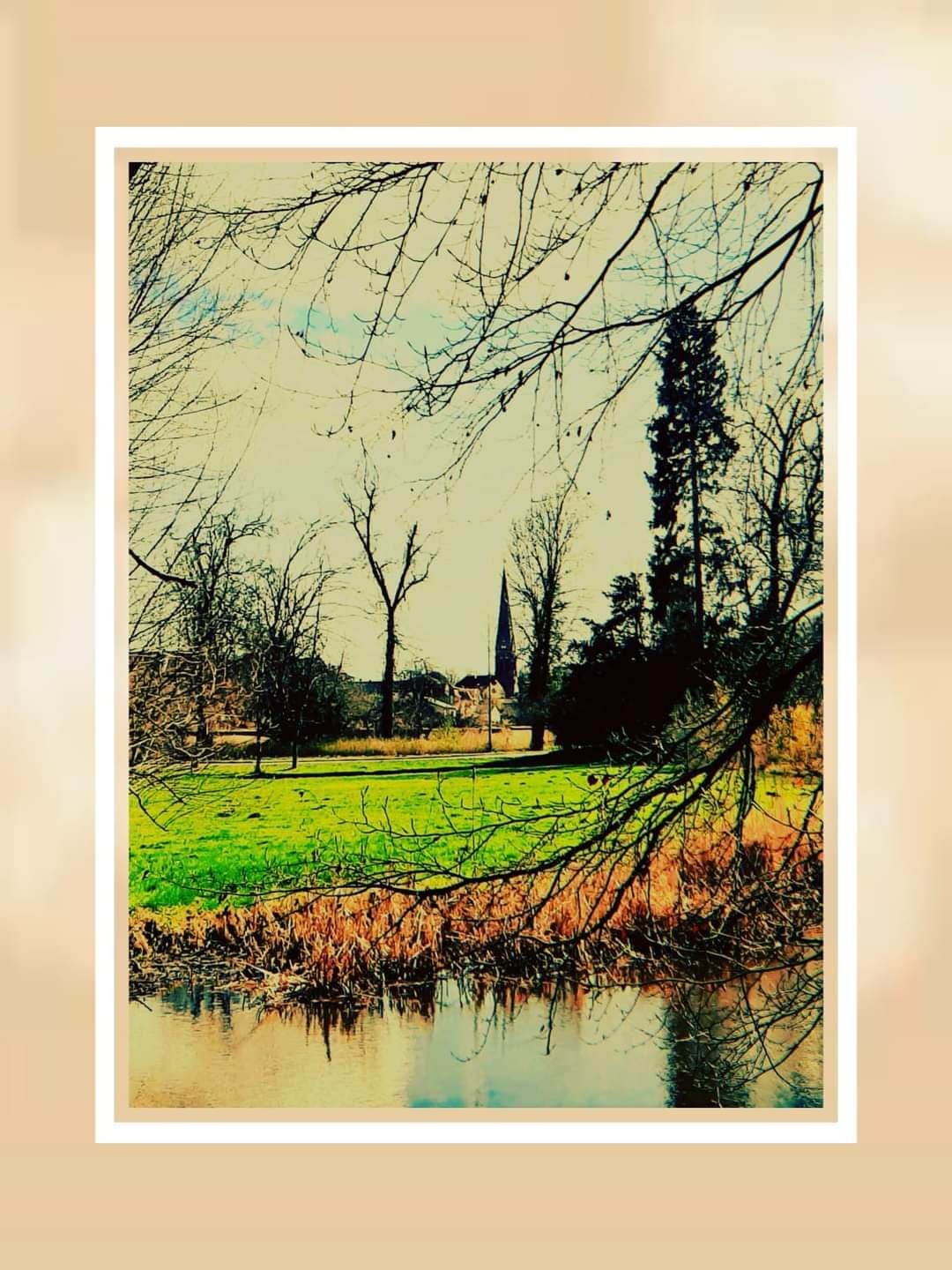 Boş Kovan