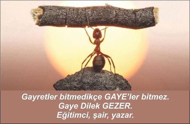 Gaye Dilek Gezer