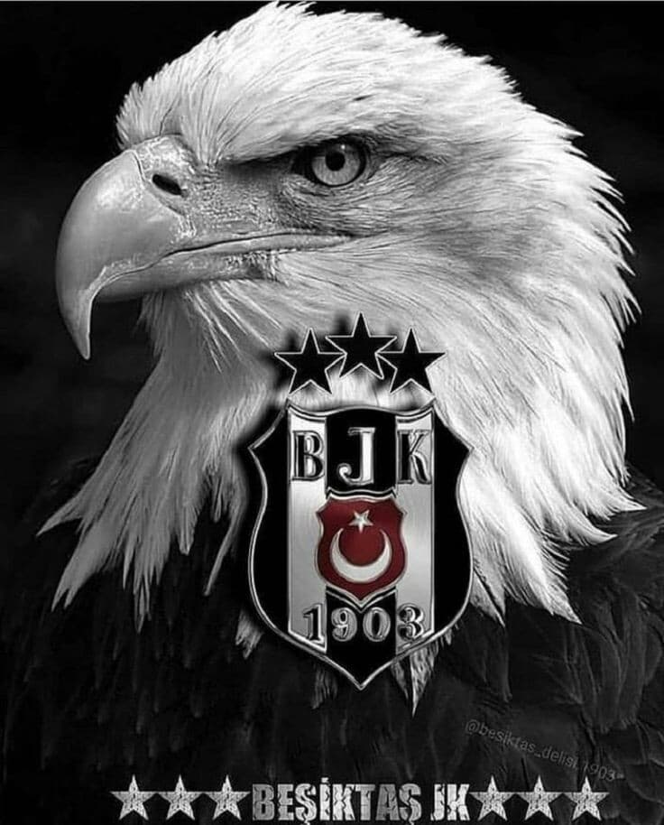 Selim Turgut