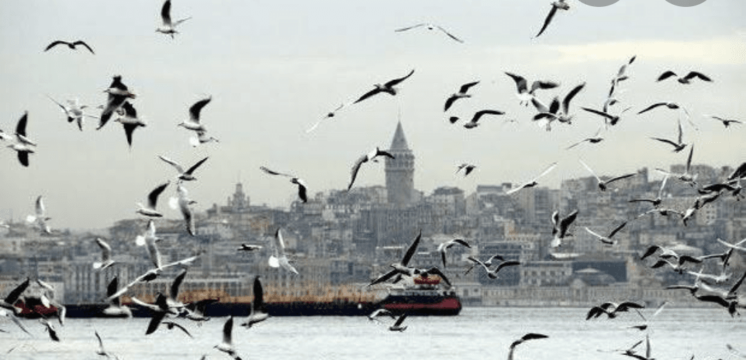 Sen Benim İstanbul'um