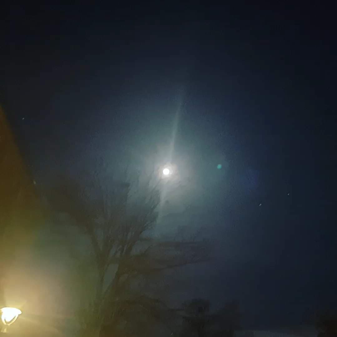 Mazisi Bir Hiçe Mahsus