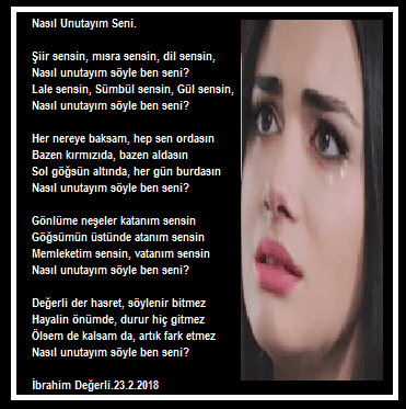Nasıl Unutayım Seni?
