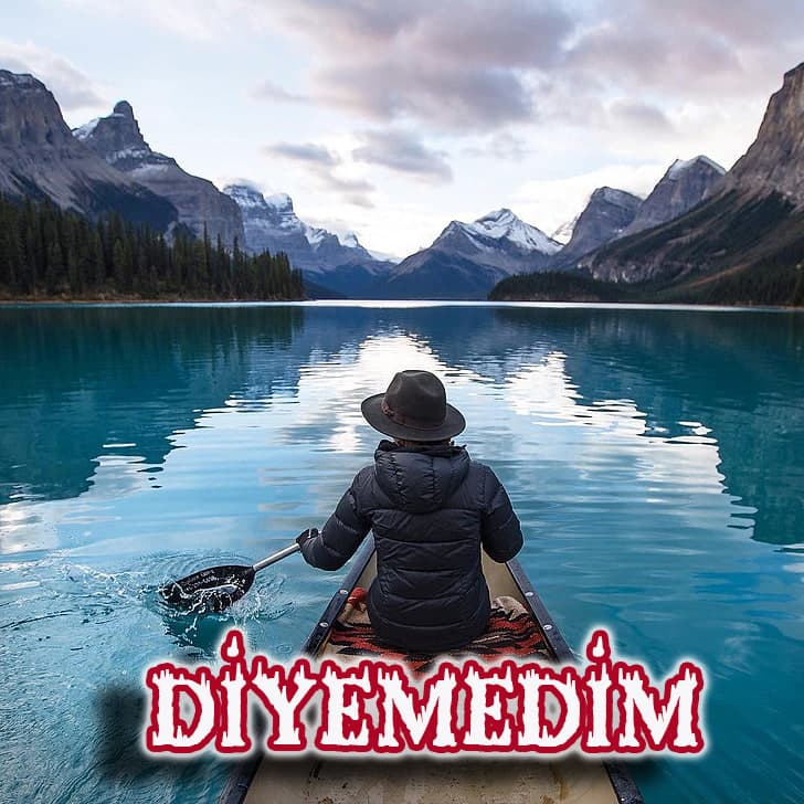 Diyemedim