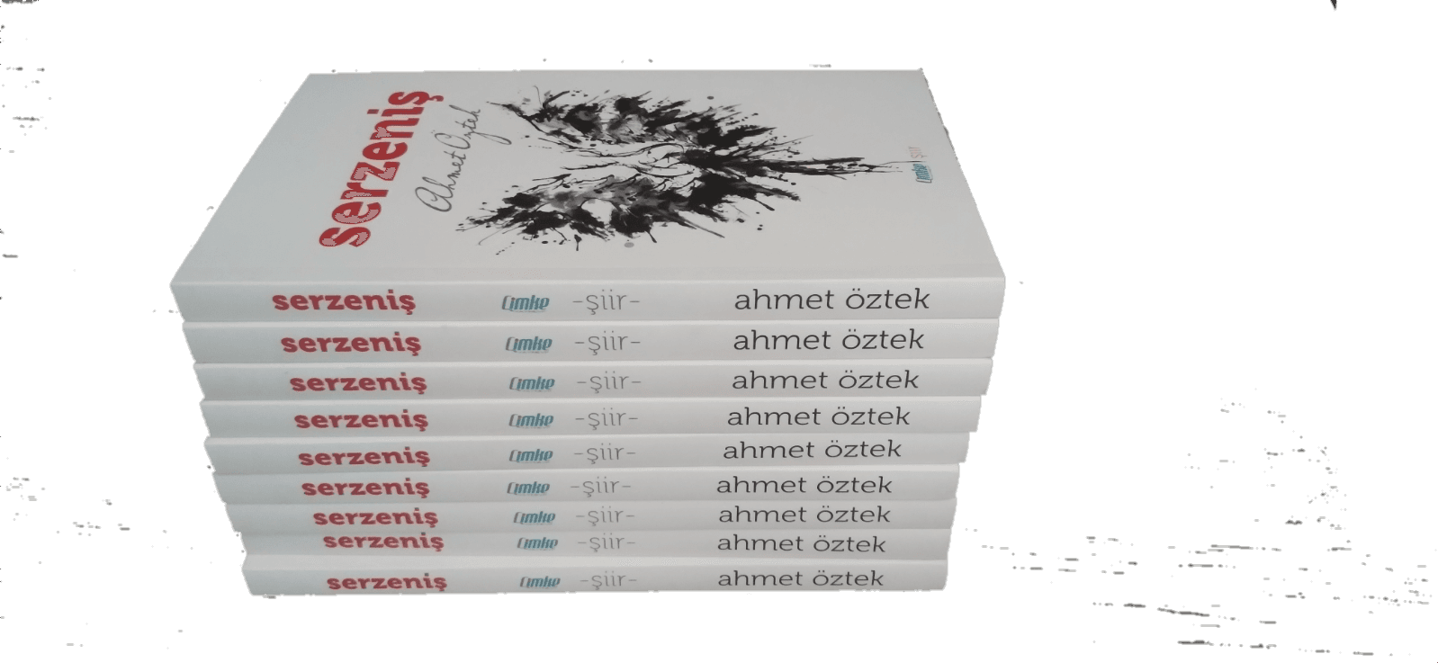 Aynı Kader
