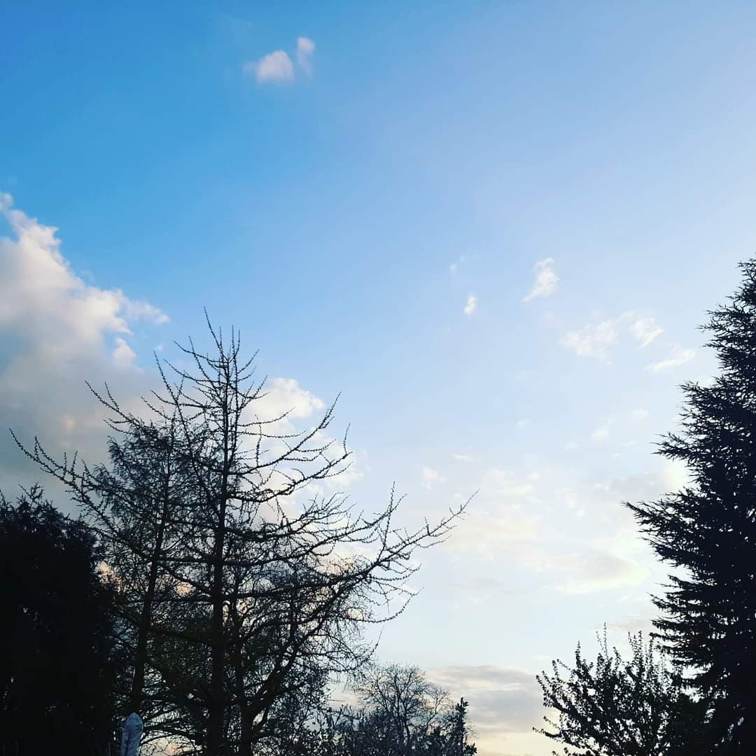 Bir Gün Gitme