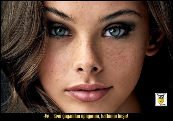 Şairce İlan-ı Aşk