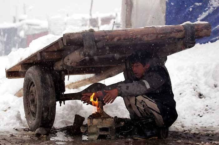 Güneşin ve Gülüşün Krallığı