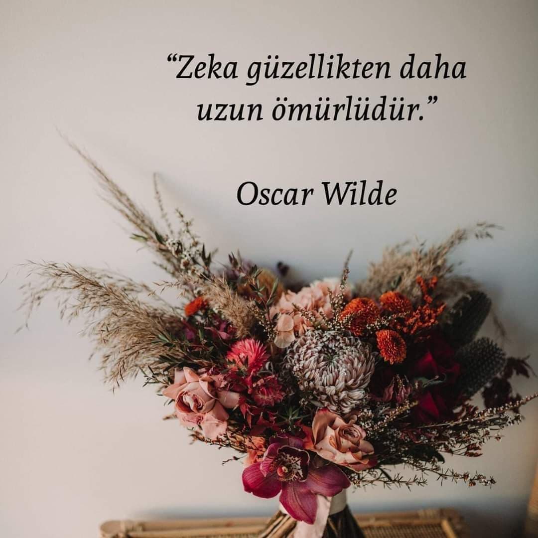 Sevdanın Arsızıyım