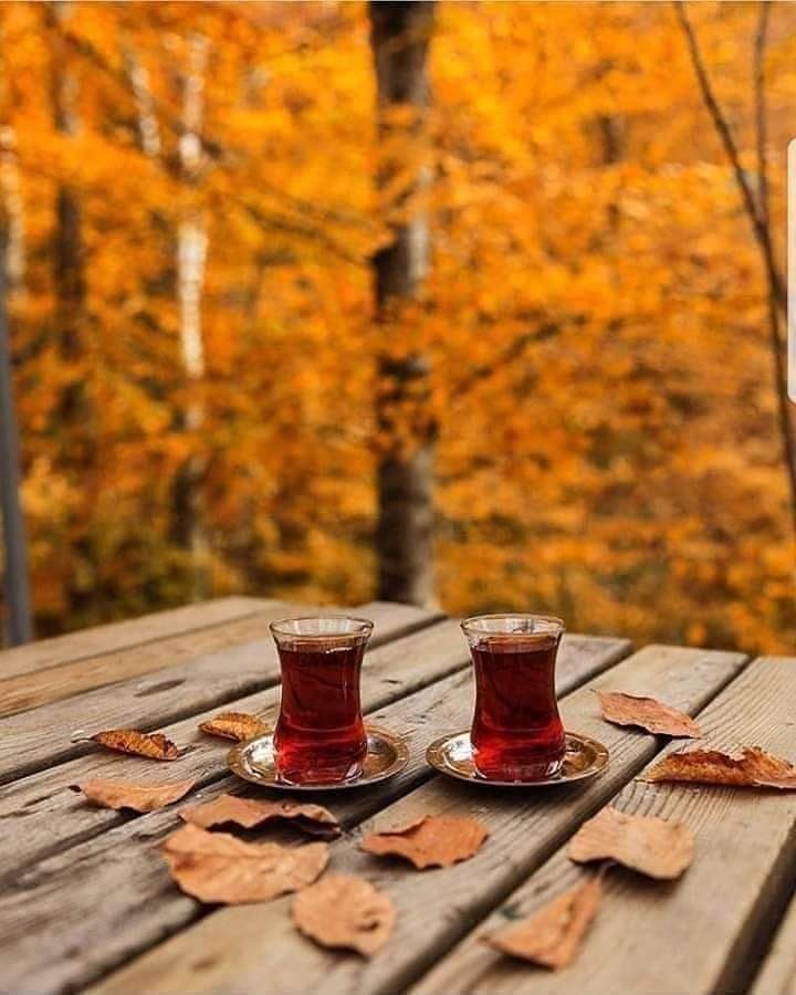 Gerçeğimsin