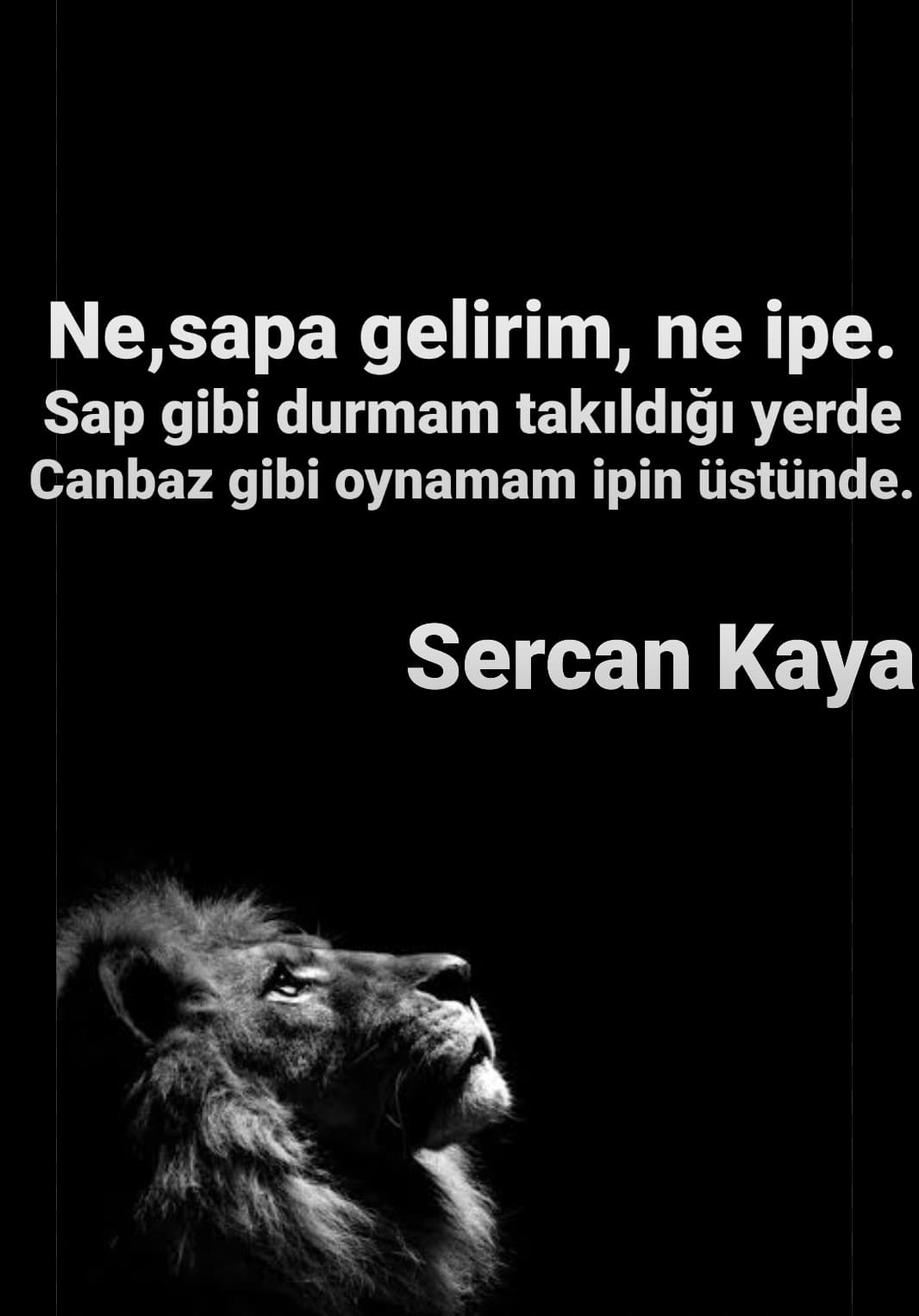Sükut Sözü 1