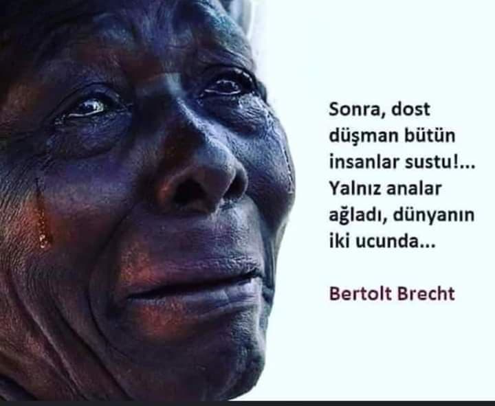 Hab/is'li Kesit
