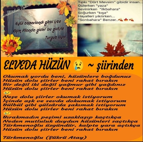 Elveda Hüzün
