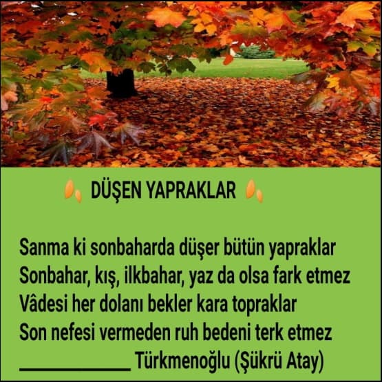 Düşen Yapraklar