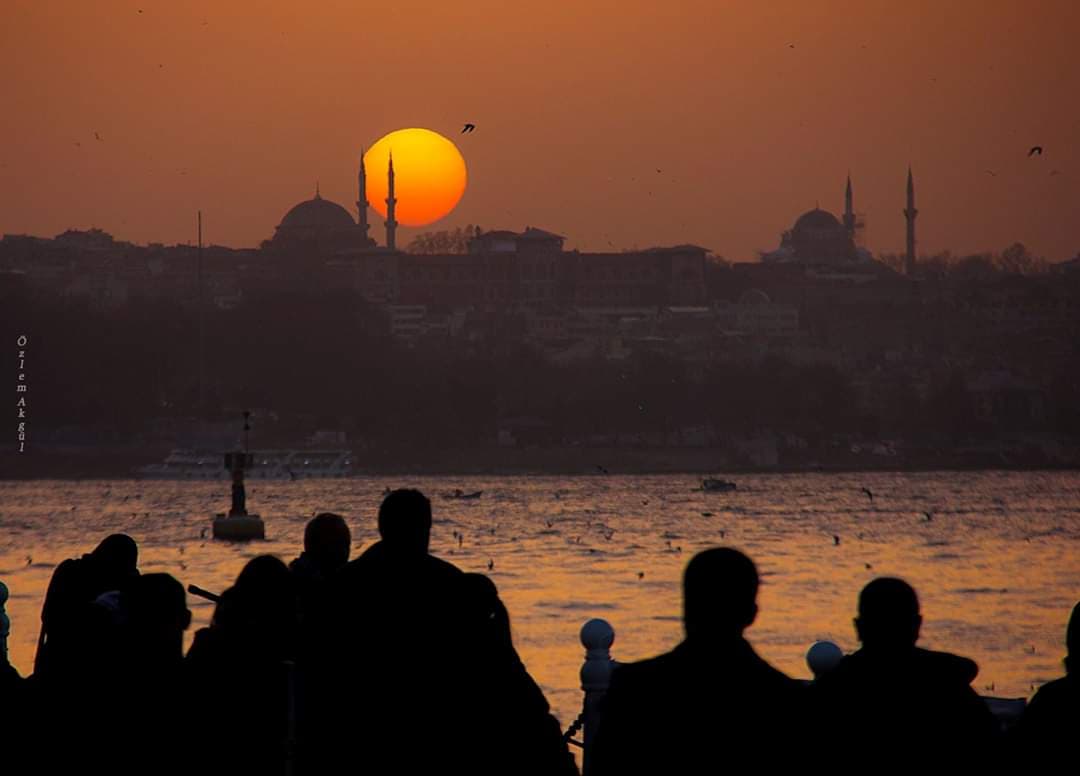Denizde Kurmak Düşlerimi