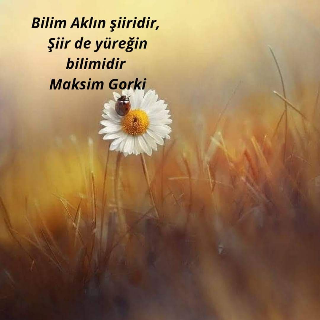 Es/er/iniz Hep Aynı Na/kar/at