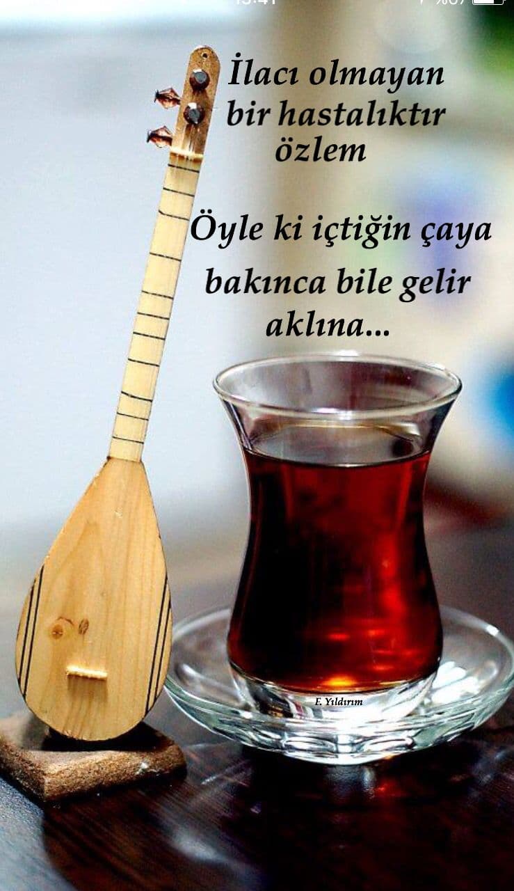 Muhabbet Aryaları