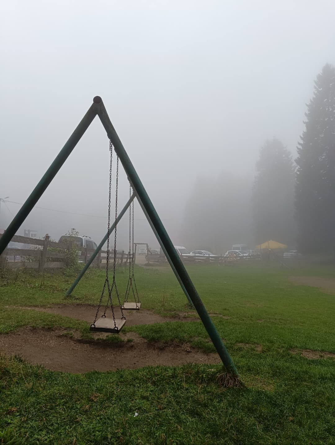Kanatlı Uçamayan Kuş
