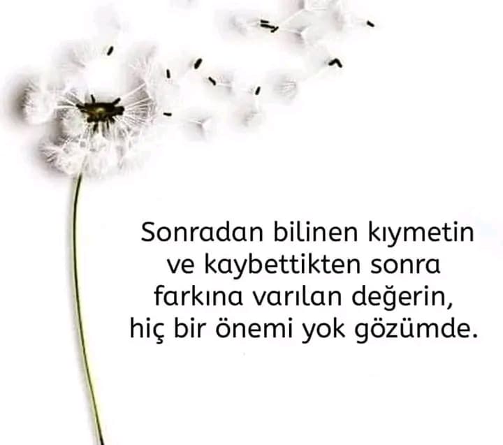 Meserret Hanımın Günahları