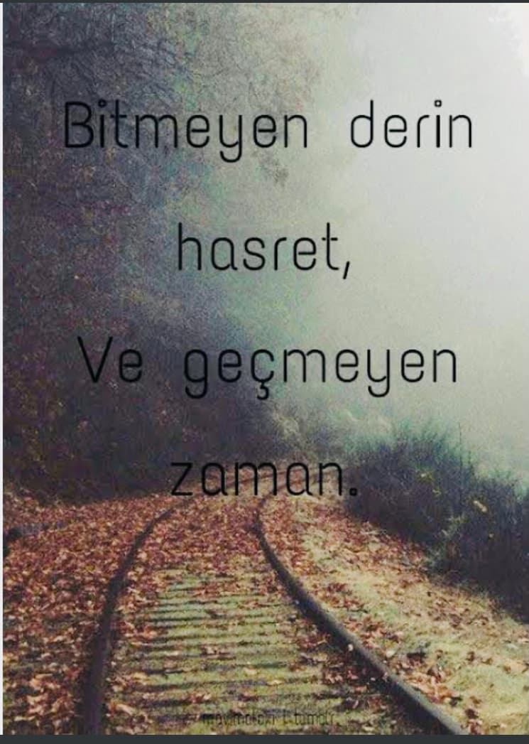 Düzelir Gönlüm