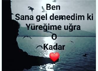 Takvim Yaprakları