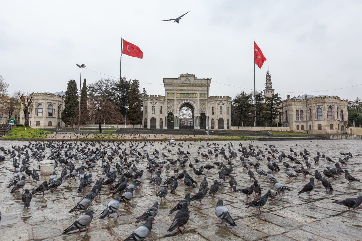 Salgının Salgını