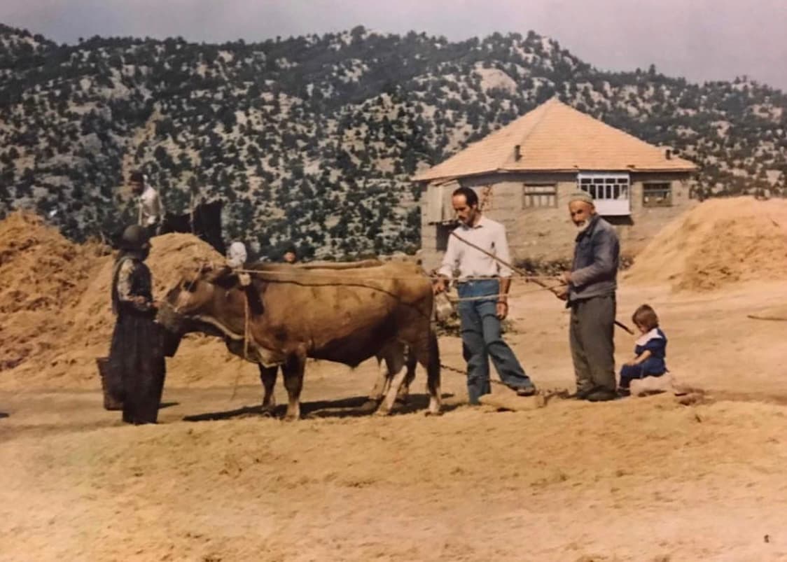 Harman Zamanı