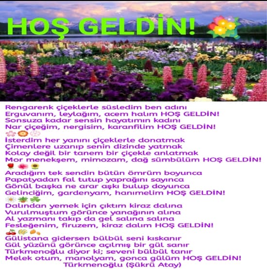 Hoş Geldin