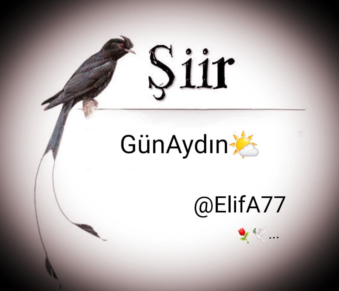 Günaydın